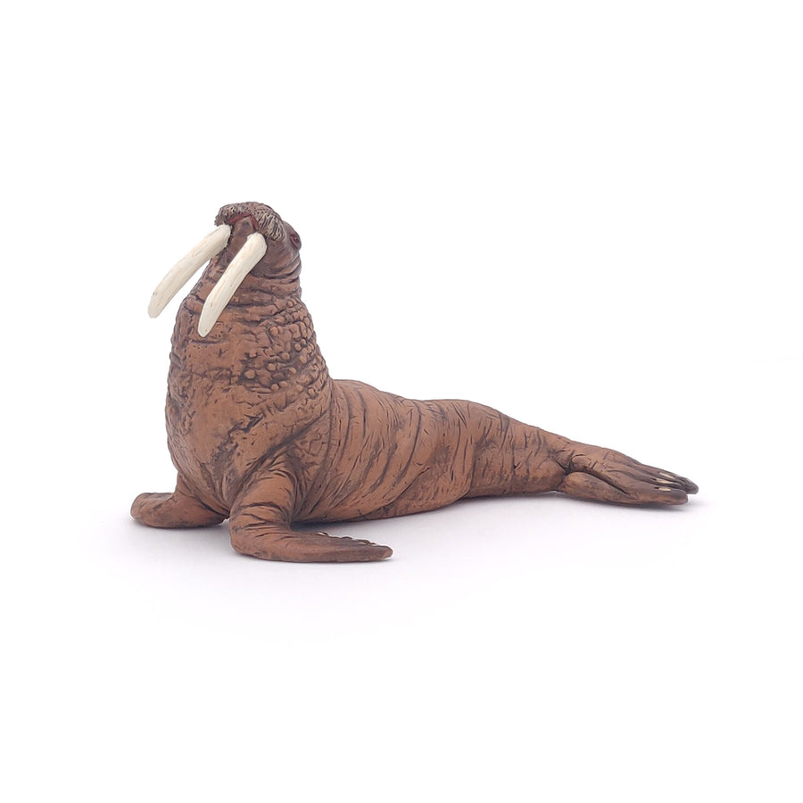 Articiones Handmade Pacific Walrus Figurine  6x5x5cm
