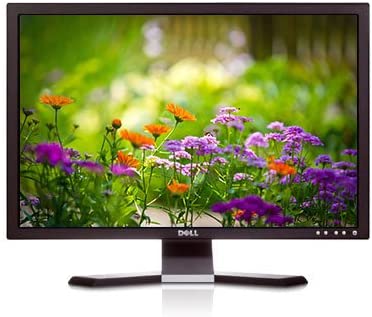 Screen Dell E248WFPb Used A 1080p LCD 24 Inch