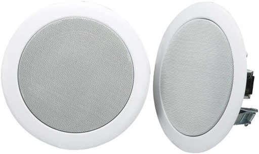Ceiling Mount Loud Speaker