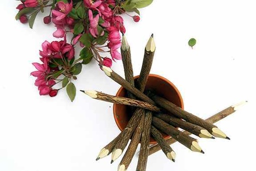 Articiones Handmade Tree Branch Pencil Wood New 2cm 15cm 2cm